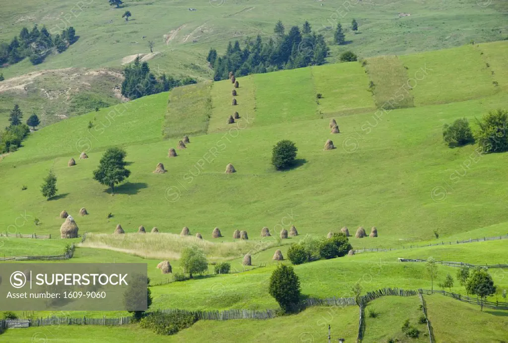 Haystacks in field, Moldavia, Romania