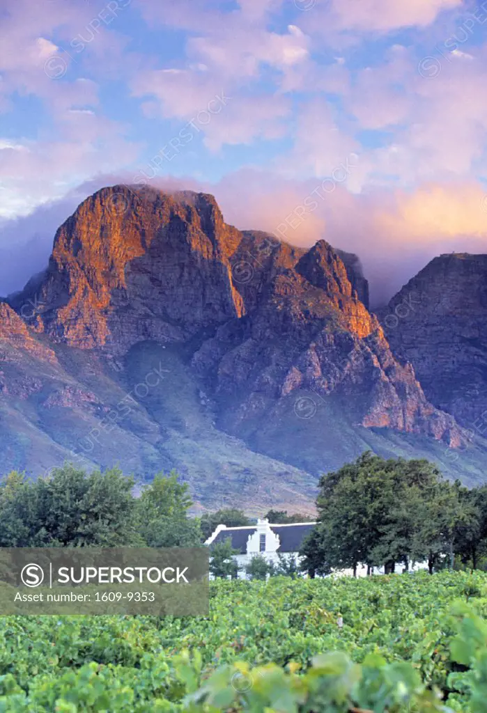 Boschendal Wine Estate, Franschoek, Cape Province, South Africa