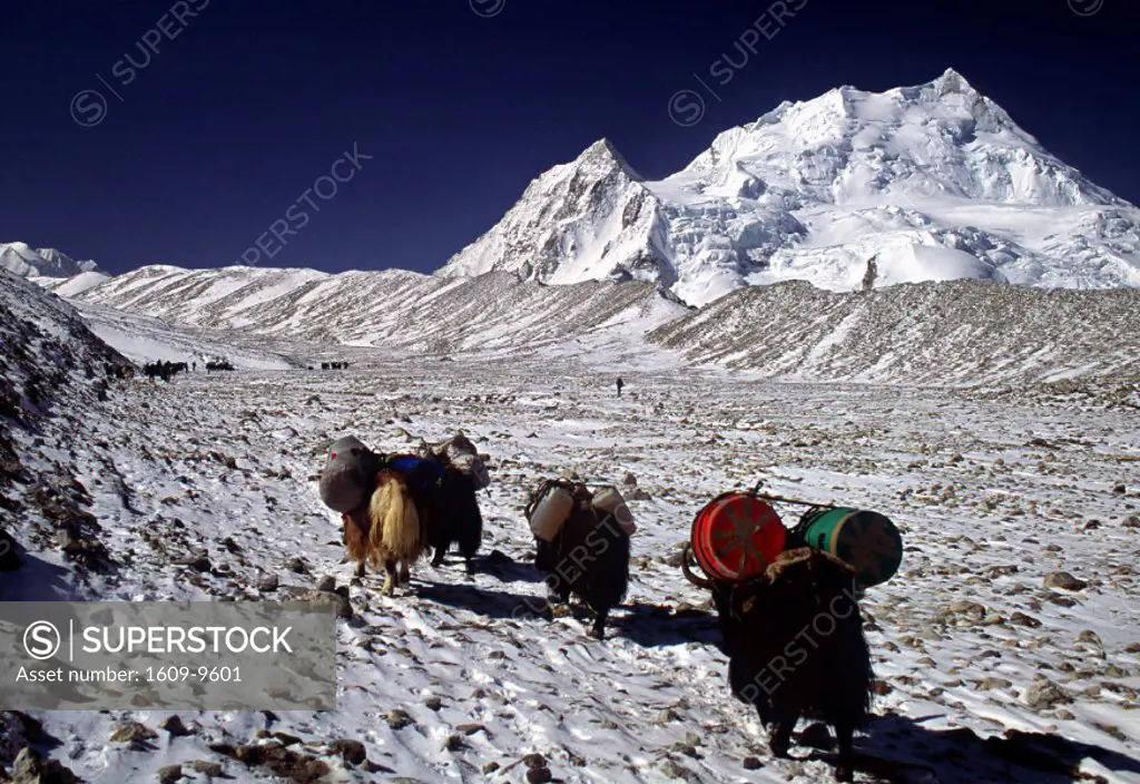 Cho Oyu, Himalayas, Tibet, China
