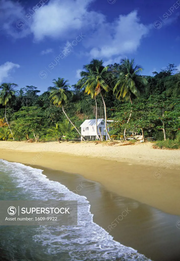 Tropical beach, Tobago, Trinidad & Tobago