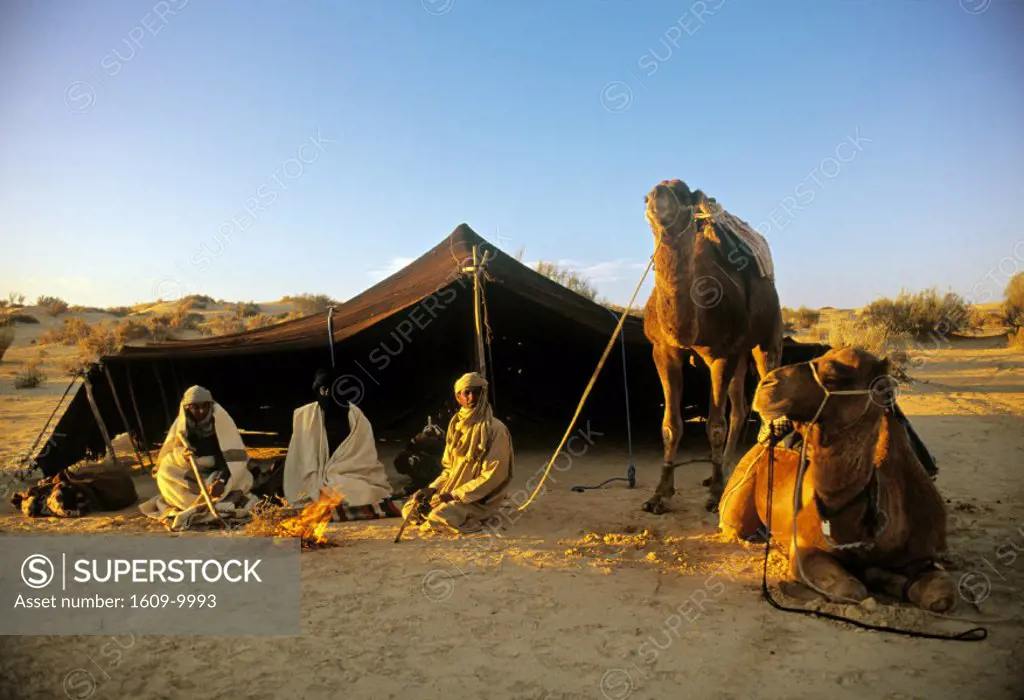 Bedouin tent, Tunisia