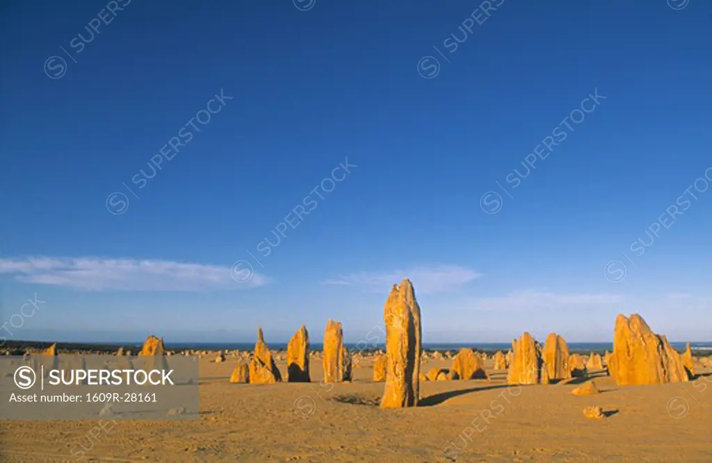 The Pinnacles, Western Australia, Australia