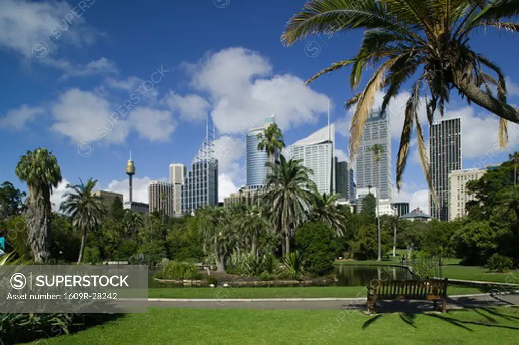Australia, New South Wales, Sydney, Sydney Central Business District from Royal Botanic Gardens