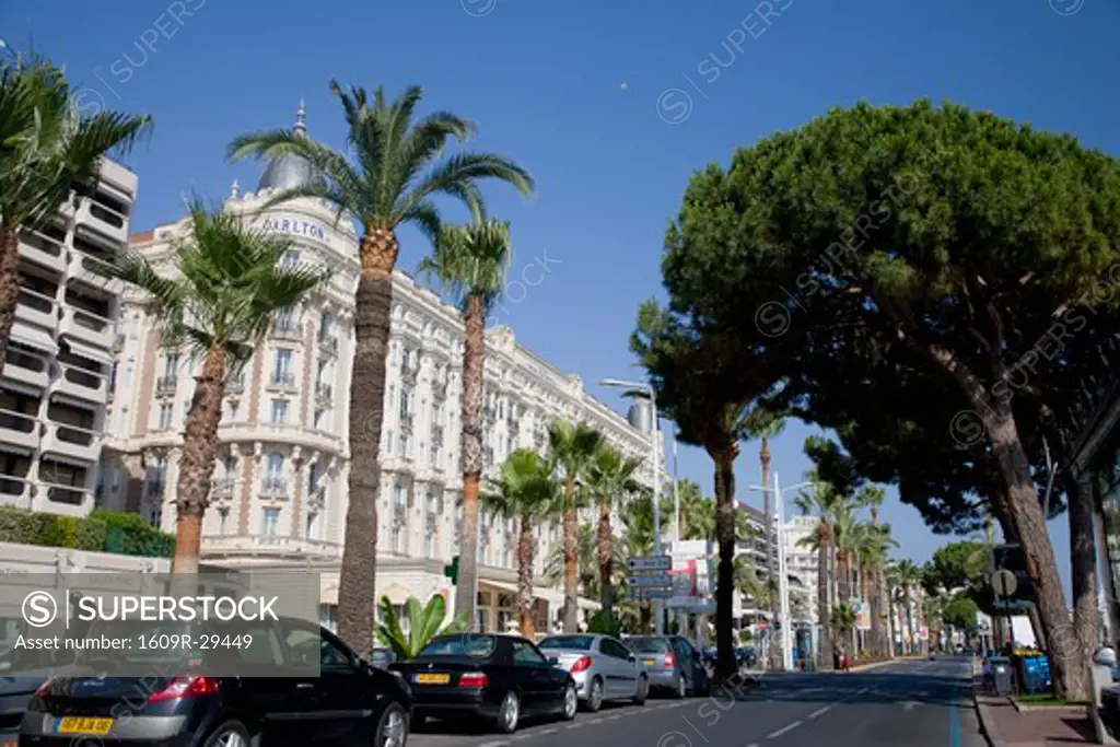 Boulevard de la Croisette and Carlton Hotel, Cannes, Cote D'Azur, France