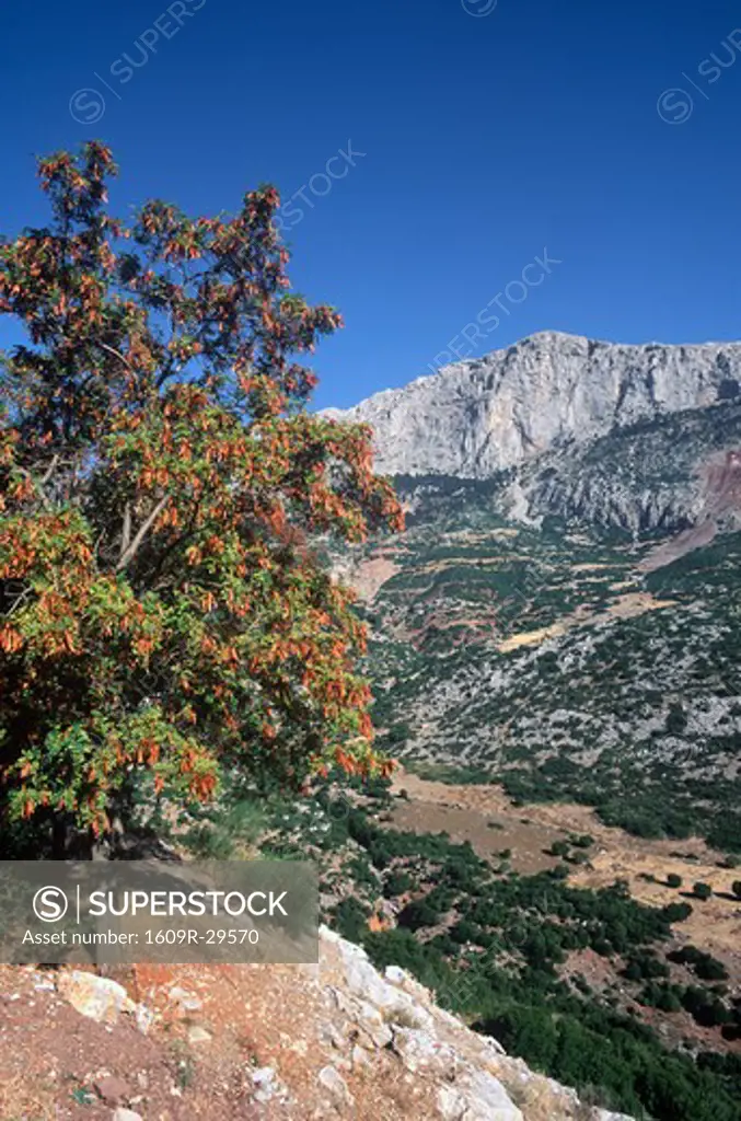 Parnassos Mountains, Central Greece, Greece