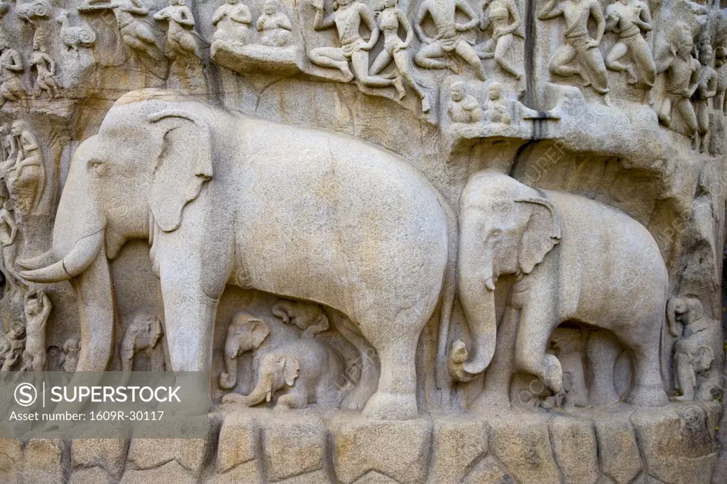 Arjunas Penance granite carvings, Mamallapuram (UNESCO World Heritage Site). Tamil Nadu, India
