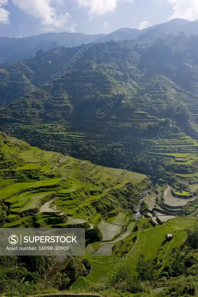 Banaue, Ifugao UNESCO rice terraces Luzon Province, The Philippines