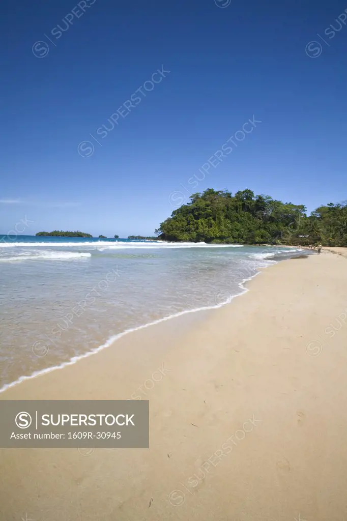 Panama, Bocas del Toro Province, Bastimentos Island (Isla Bastimentos) Red Frog Beach