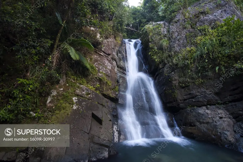 Puerto Rico, Central Mountains, El Yunque National Forest, La Mina Waterfall