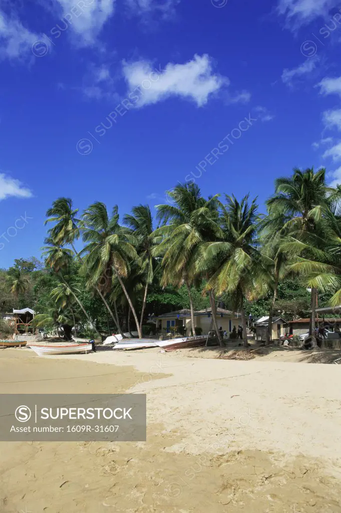 Castara Bay, Tobago, Caribbean