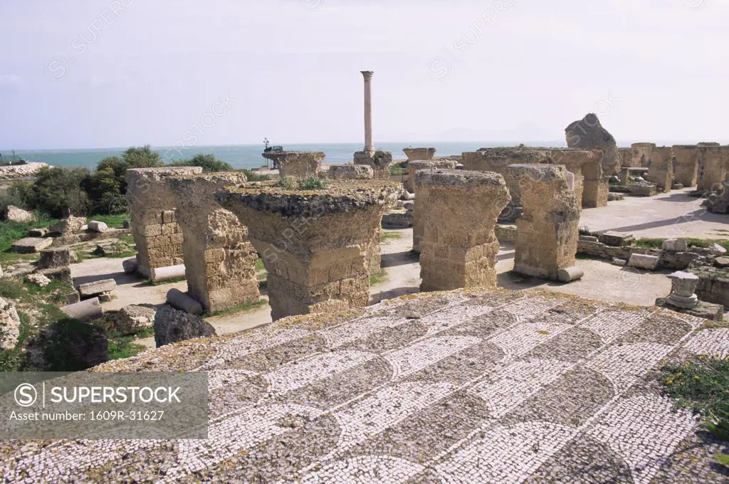 Antonine Baths, Carthage, Tunisia