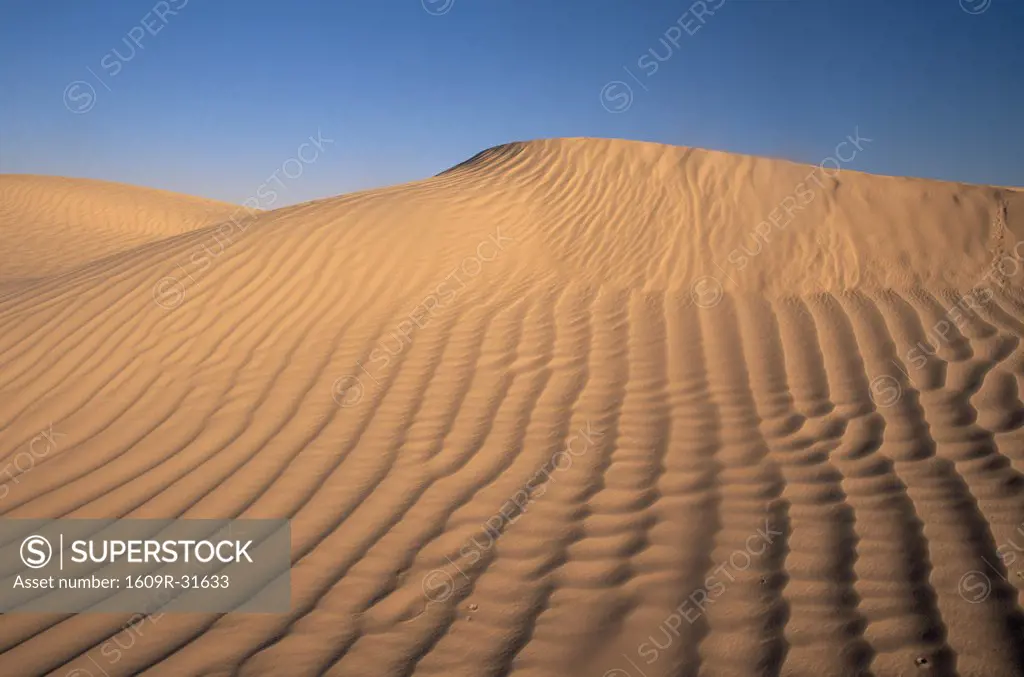 Sahara Desert, Douz, Southern Tunisia