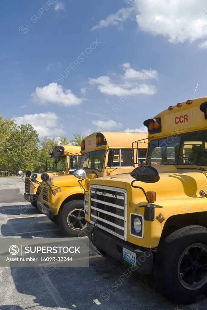 USA, Missouri, Stanton, yellow School Buses