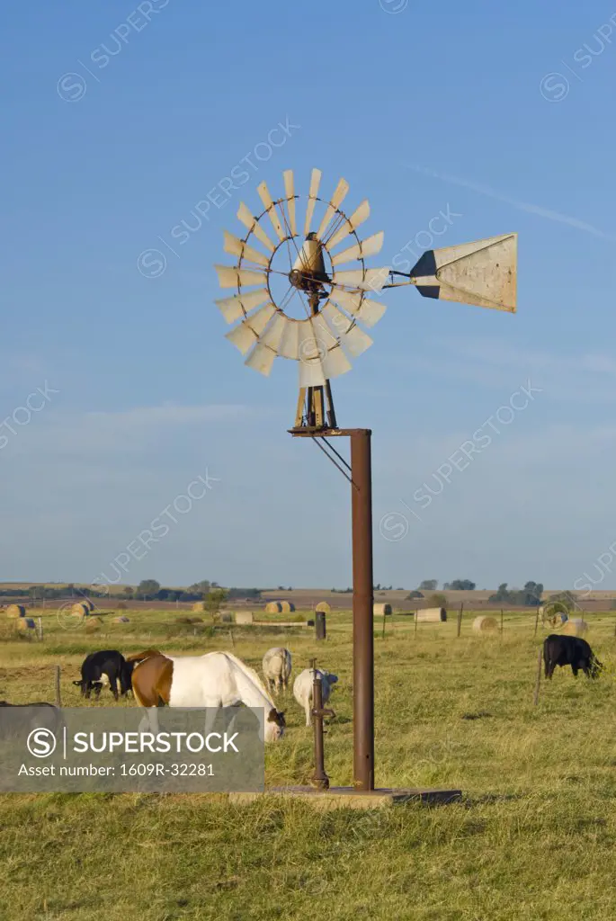 USA, Oklahoma, Route 66, near Calumet, Windpump and livestock