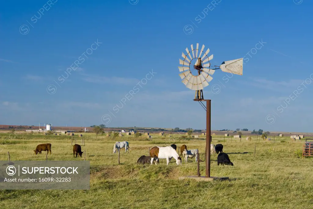 USA, Oklahoma, Route 66, near Calumet, Windpump and livestock