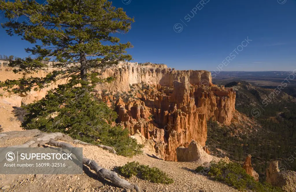 USA, Utah, Bryce Canyon National Park, from Paria Viewpoint
