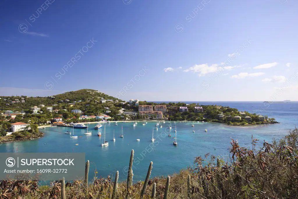 Caribbean, US Virgin Islands, St. John, Virgin Islands National Park, Lind Point trail, Cruz Bay