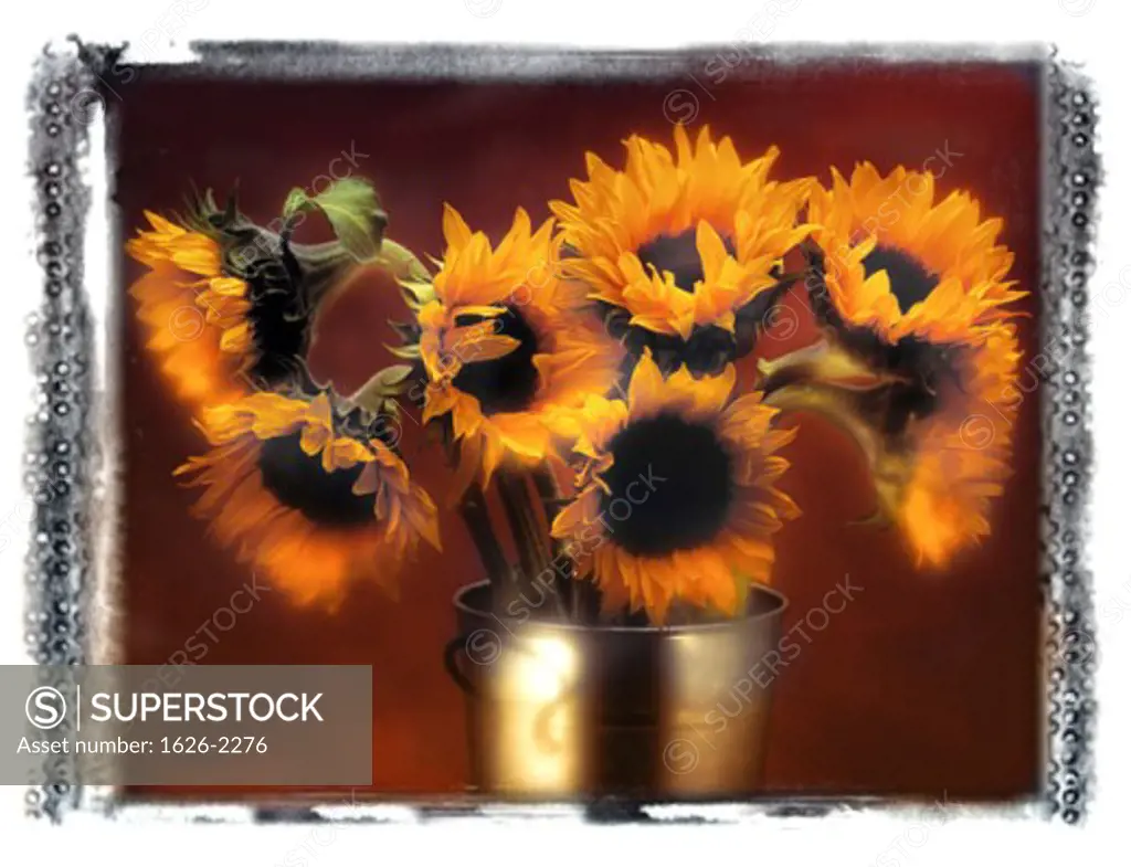 Sunflowers in a Metal Vase