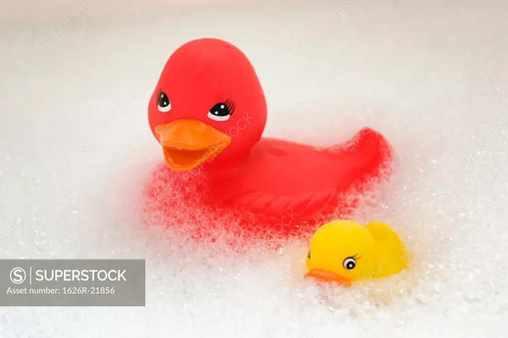 Rubber Duckies and Bubbles