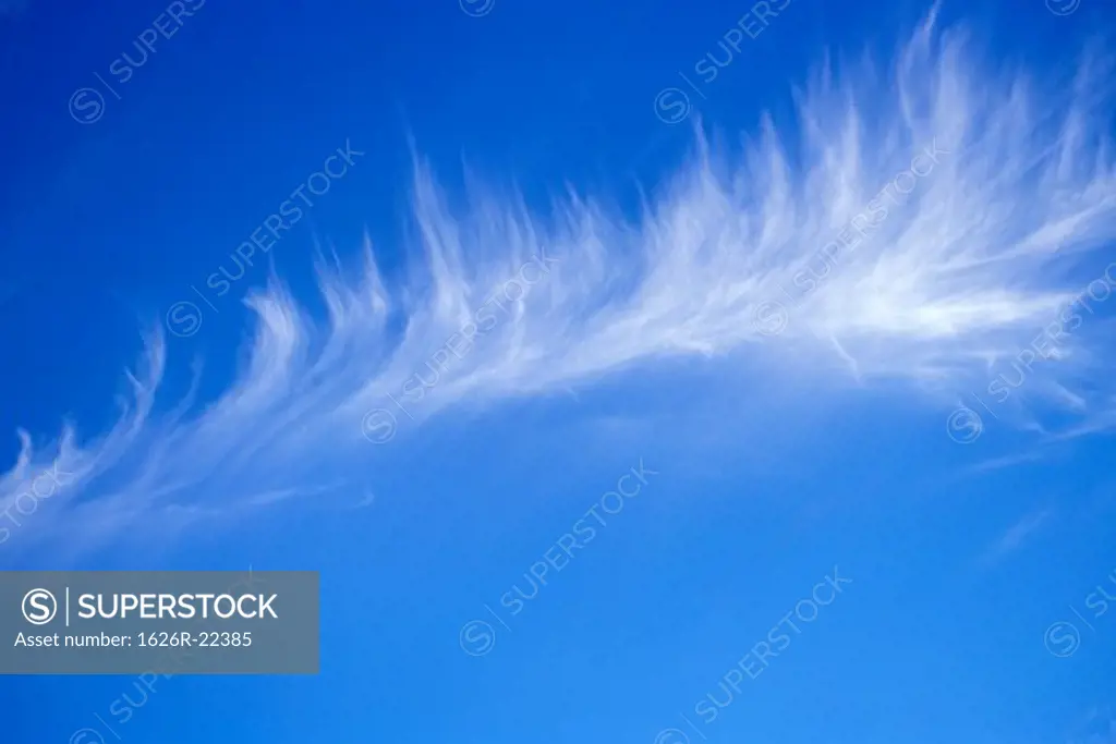 Cirrus Cloud