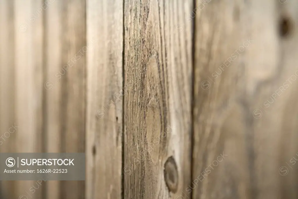 Detail of Rustic Wood Paneling with Knot Holes