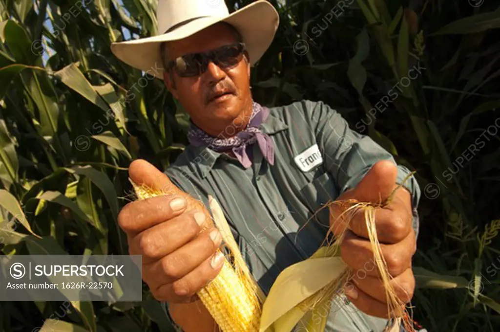 Man Displaying Corn