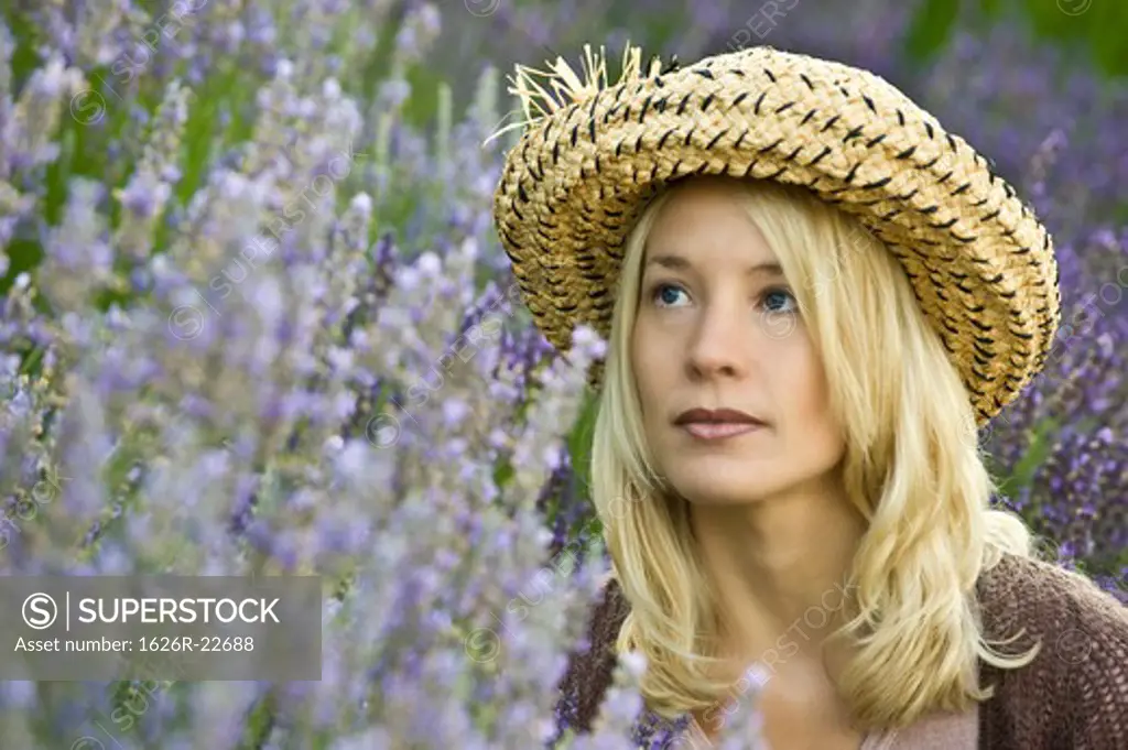 Woman Sitting In Lavender Bushes