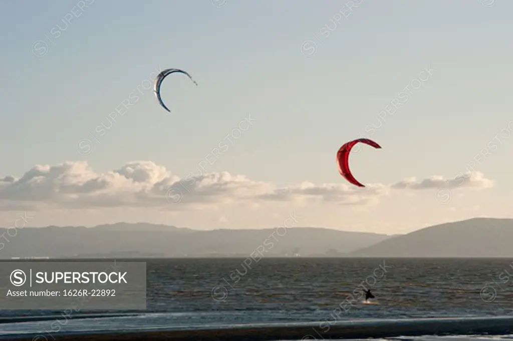 Kite Surfers On The Water
