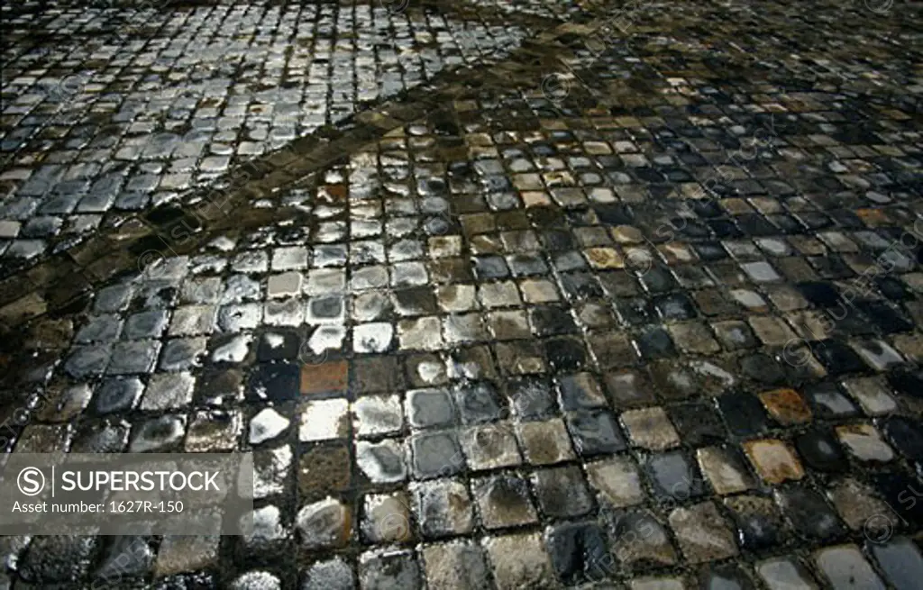 Close-up of wet cobblestones on a walkway, Palace of Versailles, Versailles, France