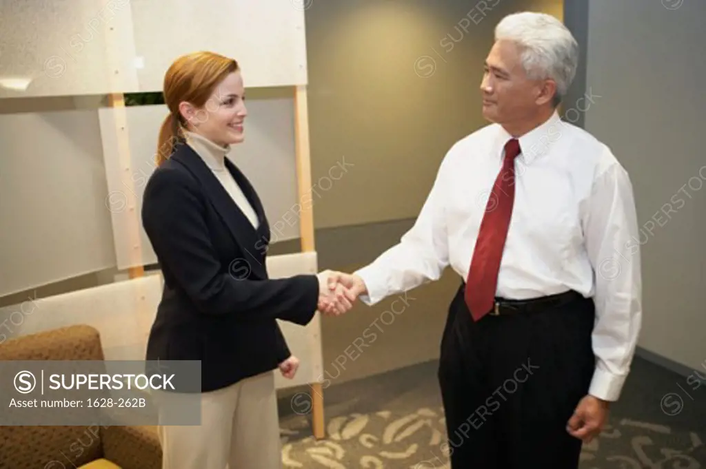 Businessman and a businesswoman shaking hands