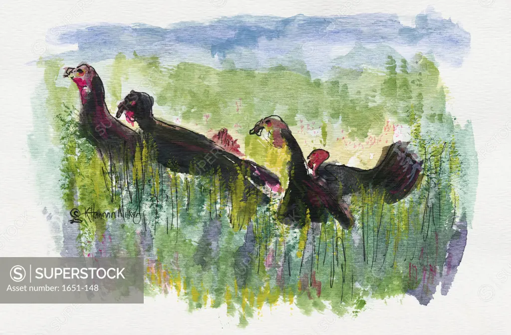 Cumberland Island Turkeys 2005 Kathryn Hannan Milkey (b.1932 American) Watercolor