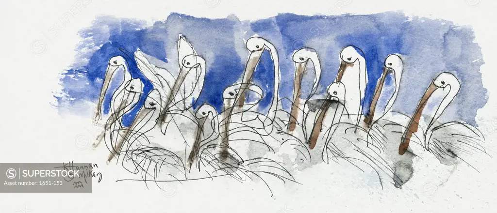Pelicans on the St. John's River 2005 Kathryn Hannan Milkey (b.1932 American) Watercolor