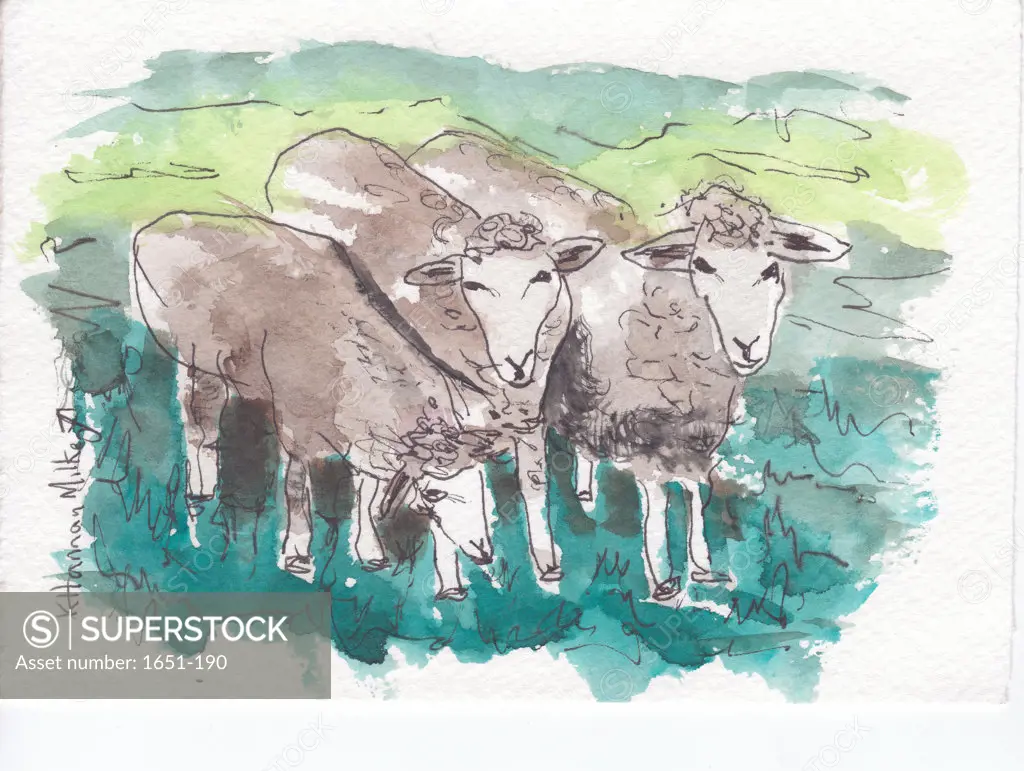 Sheep Togetherness, Kathryn Hannan Milkey (b.1932 American) watercolor