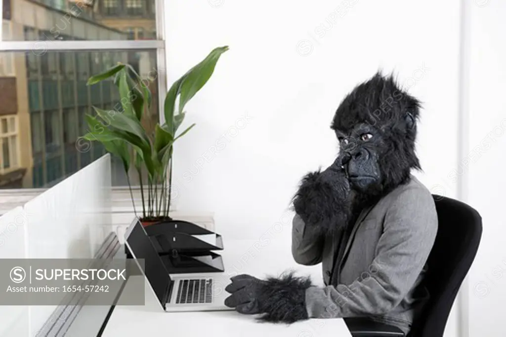London, UK. Young man in gorilla mask picking his nose in front of laptop at office