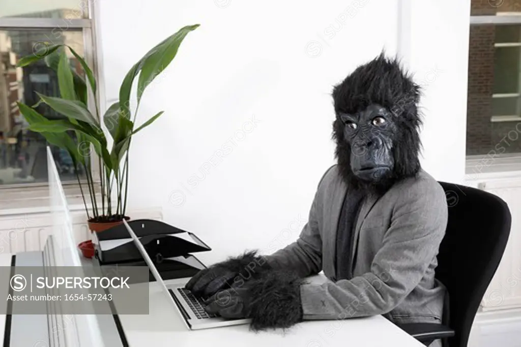London, UK. Portrait of young man in gorilla mask using laptop at office