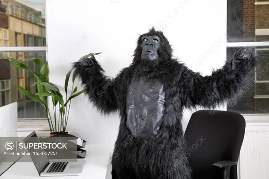 London, UK. Angry young man in gorilla costume looking up at office