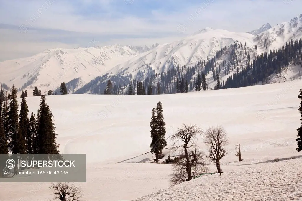 Snow covered landscape, Jammu And Kashmir, India