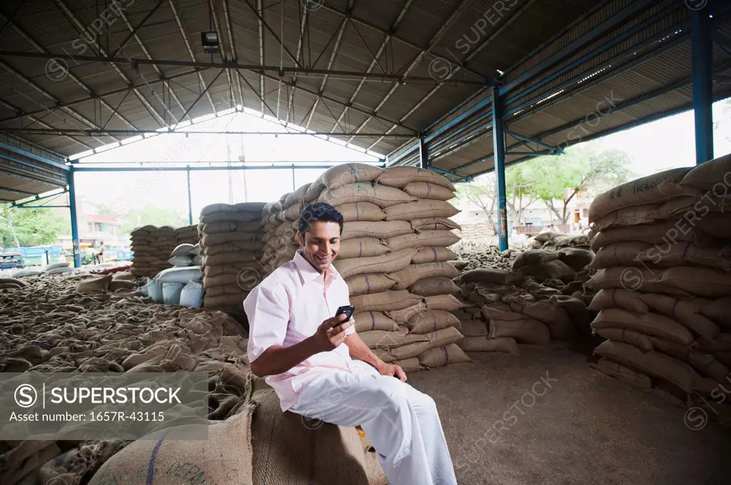 Man sitting on a wheat sack and reading a SMS in a warehouse, Anaj Mandi, Sohna, Gurgaon, Haryana, India