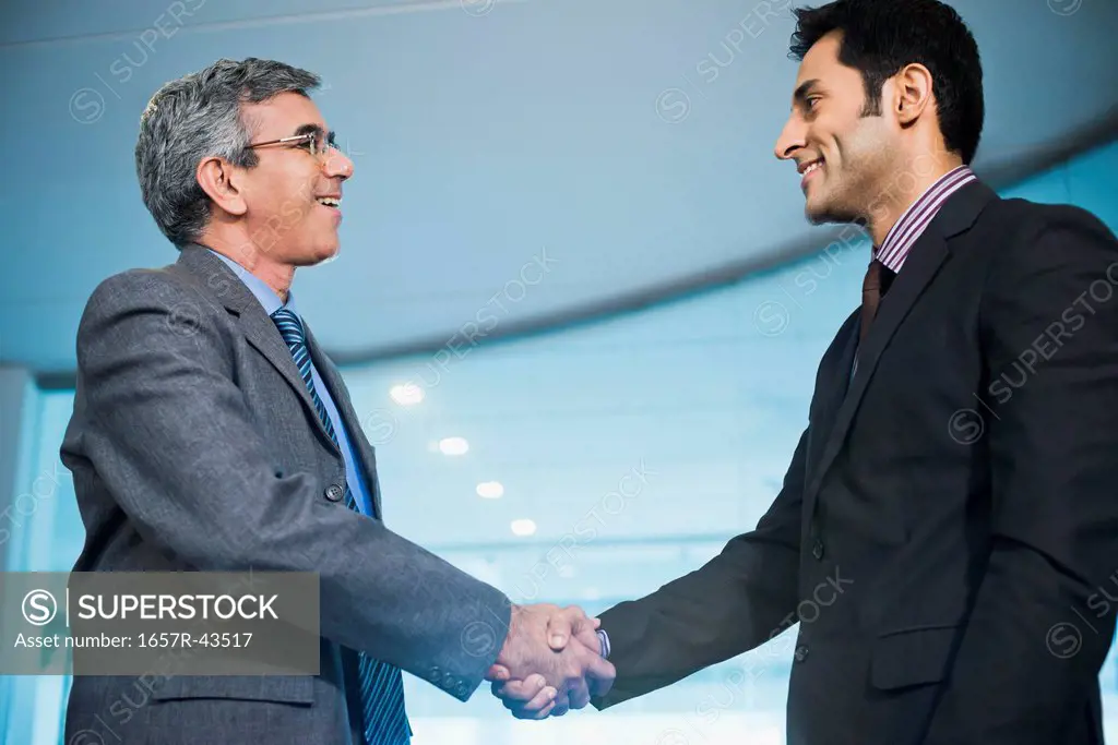 Businessman shaking hands with another businessman