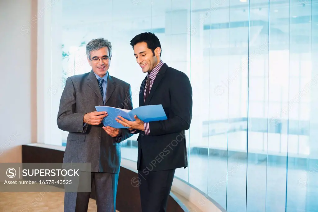 Businessman discussing a report with his colleague