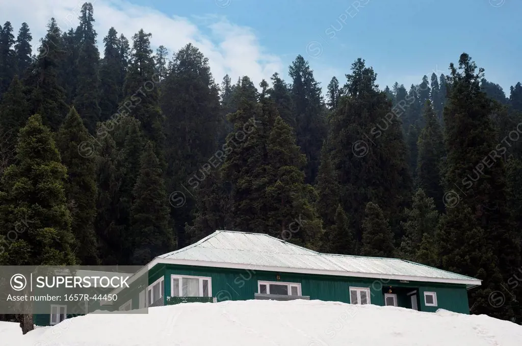 Trees behind a snow covered building, Gulmarg, Jammu And Kashmir, India
