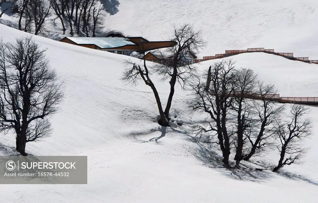 Ski resort in winter, Sonmarg, Jammu And Kashmir, India
