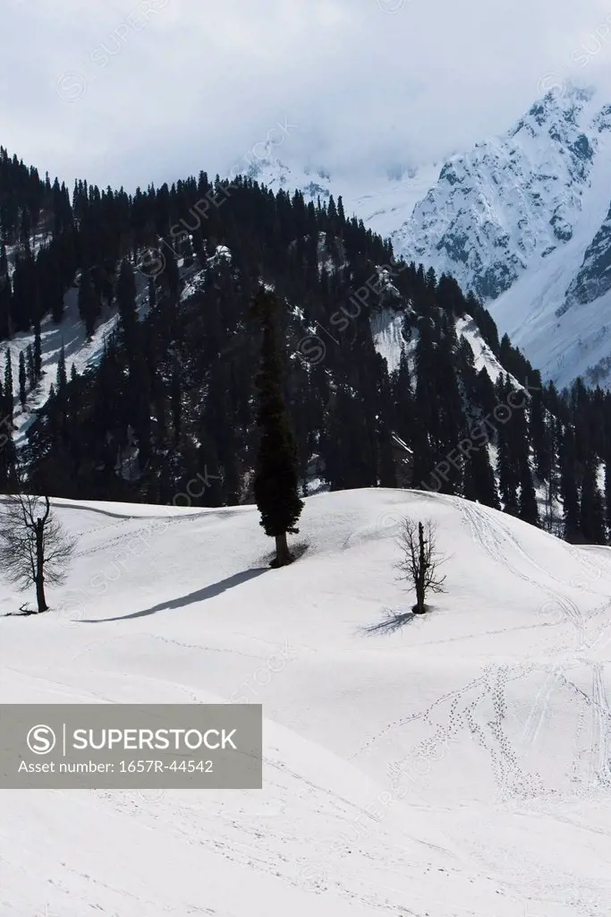 Snow covered valley in winter, Sonmarg, Jammu And Kashmir, India