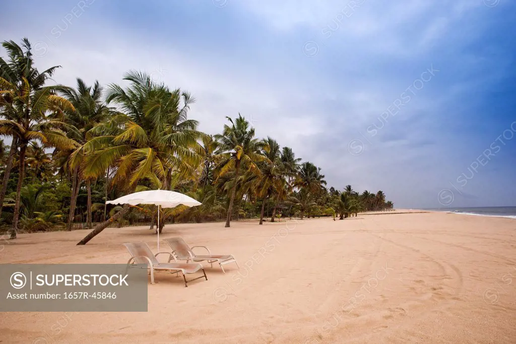 Lounge chairs and palm trees on the beach, Alleppey, Kerala, India