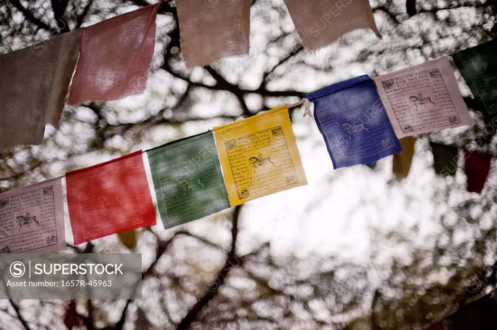 Low angle view of prayer flags in a monastery, Tibetan Monastery, Delhi, India