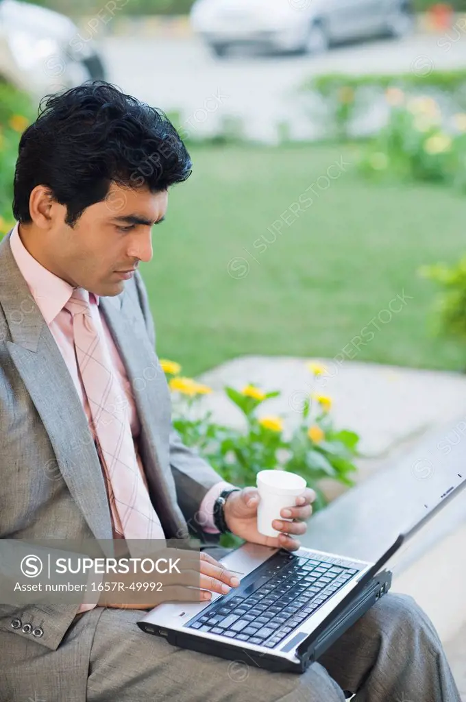 Businessman working on a laptop in a park, Gurgaon, Haryana, India