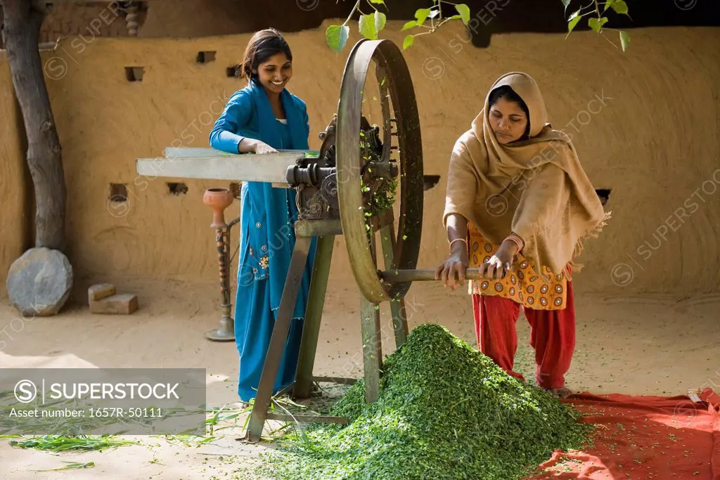 Woman cutting fodder with her daughter on a chaff cutter, Farrukh Nagar, Gurgaon, Haryana, India