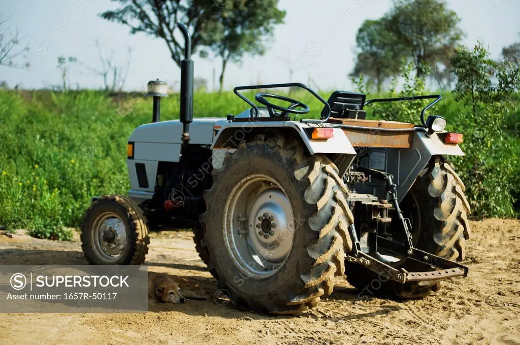 Tractor in a field, Farrukh Nagar, Gurgaon, Haryana, India