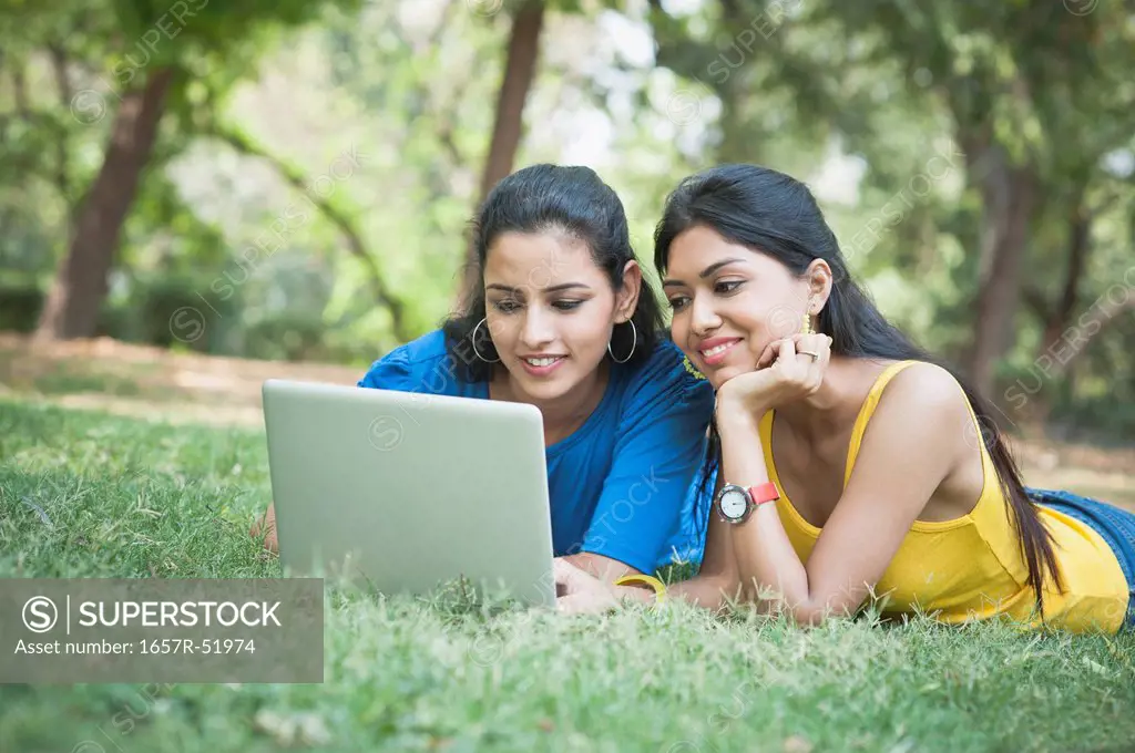 Friends using a laptop in a park, Lodi Gardens, New Delhi, Delhi, India