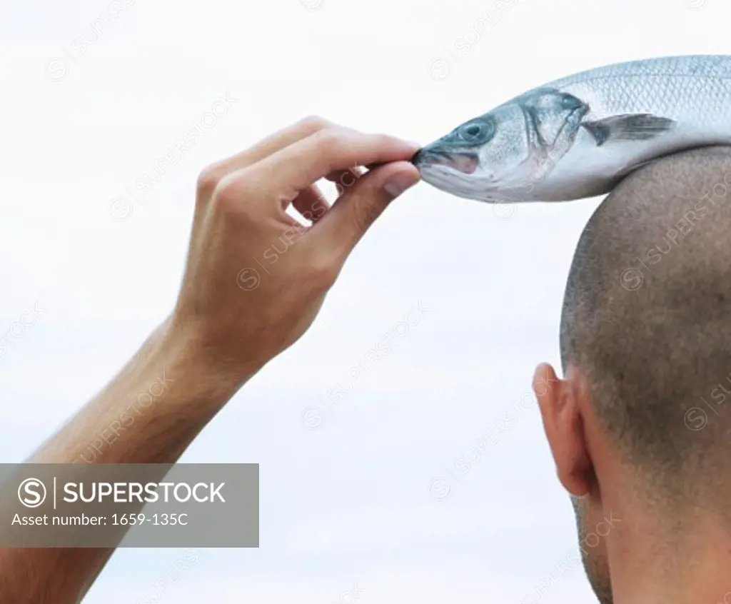 Rear view of a young man with a dead fish on his head